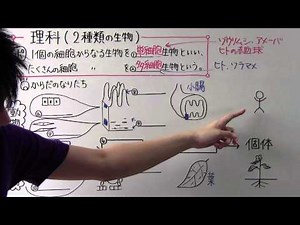 【理科】中2-16 ２種類の生物