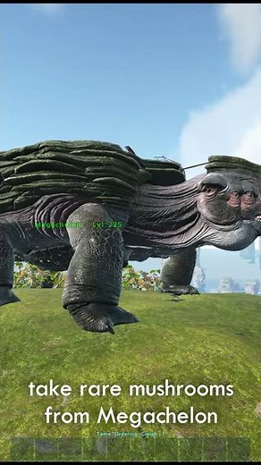 Food, drink recipe with high HP and stam! | Troll food! | Custom Consumables | ARK Survival Evolved