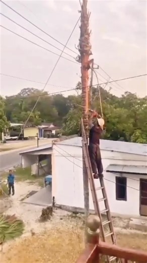 High-risk occupations #fyp #usa🇺🇸 | United States Of America