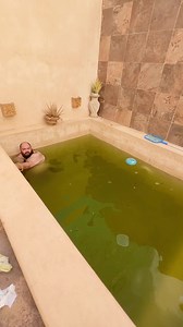 3.1M views · 17K reactions | Llegó el verano ñeñe a lavar la piscina ‍♀️ #piscinasmodernas #piscinaprivada #yucatan #parati #fyp #fypシ #aguaverde #verano #aprobadoporelsoco | El socotroco | Facebook