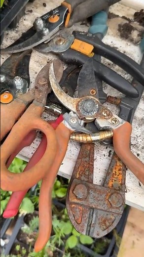 Fix & Save Your Rusted Garden Tools with Vinegar #gardening #garden #tools