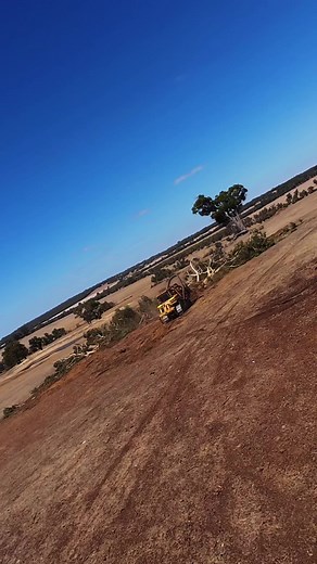 #d6r #trees #catarpillar t#treework #gone