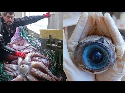 15 Strange Things Found Washed Up On Beaches