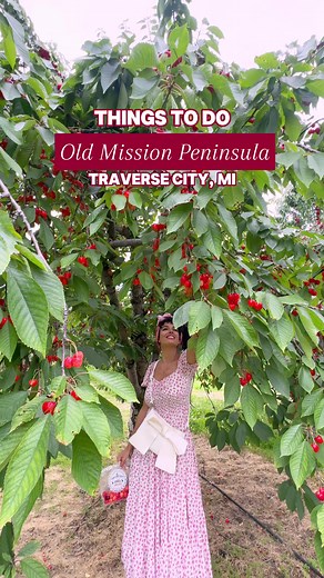 ⛱️ Things to do in Old Mission Peninsula in Traverse City, Mi 🗼 One of my favorite things about Traverse City Michigan was visiting Old Mission peninsula! It was just so stunning! We got to enjoy some of the most enchanting activities in @Traverse City like: 🍒 Going cherry picking at Third Coast Fruit Co. 🪻 Picking lavender and lavender picnics 🍇 Visit the gorgeous vineyards & wineries 🌅 Tour the Mission Point Lighthouse 🗺️ And swim in the clearest water around #TraverseCity #Ad