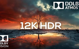 隐藏的美-令人着迷Hidden Beauty Mesmerizing 12K HDR 60FPS with Dolby Vision