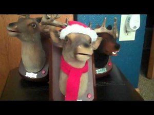 ***MINI BUCK*** (Singing Christmas Deer)