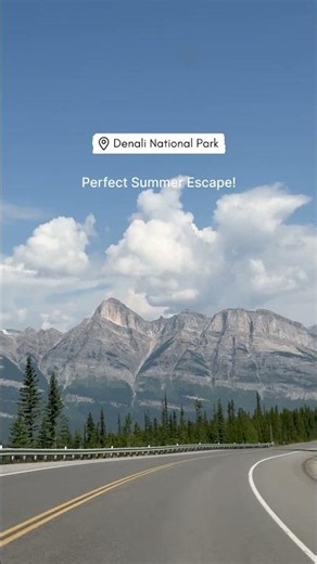 🏔️ Denali National Park is the perfect summer escape! ☀️ #shorts