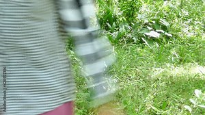 Smart Farmer Asian Female Farmer In a rubber plantation with rubber trees in a row Rubber is an economic crop in the south of Thailand. Natural latex is an agricultural industry in Thailand.