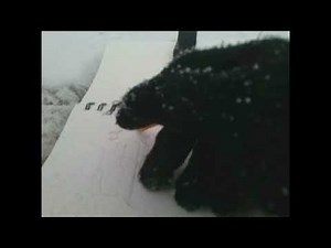 Blind contour drawing episode 2