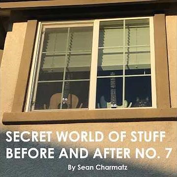 Secret World of Stuff BEFORE AND AFTER No. 7