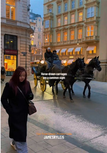 Discover Why Vienna Is a Must-Visit Destination