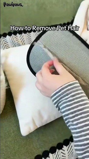How to Remove Pet Hair From Your Couch in Seconds