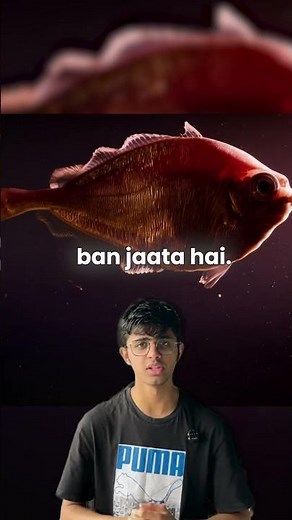 Underwater Lakes in the Ocean? The Deadly Brine Pools of the Gulf of Mexico