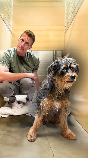 Terrified Rescue Dog Gets Second Chance 🥹 | Rocky Kanaka