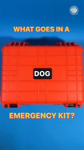 Disaster can strike at any time. You and your canine can stay prepared with a dog emergency kit. | American Kennel Club