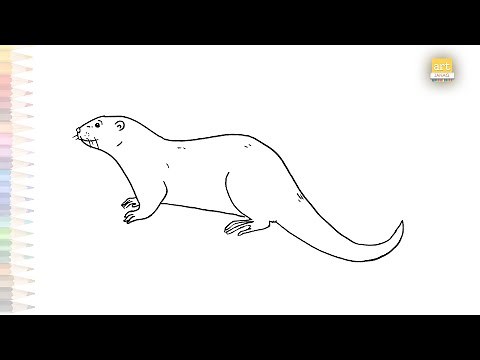 North American river otter drawing | Otter drawing videos | How to draw river otter step by step