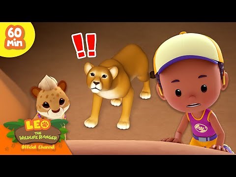🦁 LION ATTACKING A BABY CHEETAH?! 😱 African Animals! 🌄 | Leo the Wildlife Ranger | Kids Cartoons