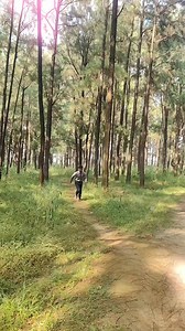 58K views · 5.1K reactions | Mini netarhat ma stunt  beautiful view 珞 follow for more ❤️ share with your friends  viral Kara do guys , #new #viral #stunt #flip #short #trending #reels #follow #like #comment #video | Karan Flipper | Facebook