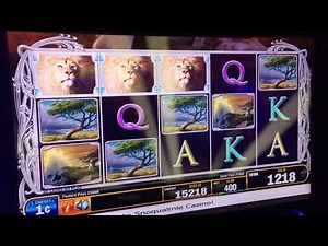 White lion slot machine