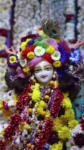 hare Krishna dvp everyone 🙏 please subscribe to my channel #krishna