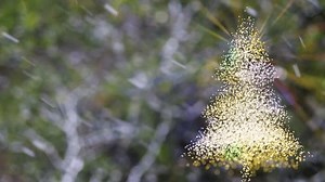 Рождественская елка со снегом. Превращение формы: стоковое видео (без лицензионных платежей), 3655199939 | Shutterstock