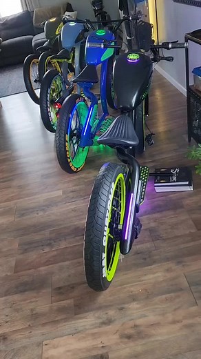 Custom Electric Bikes and Trikes for Sale