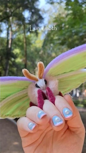 DIY Cute Luna Moth With Pipe Cleaner