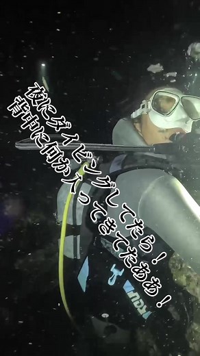 ダイビングでの驚きのハプニング！