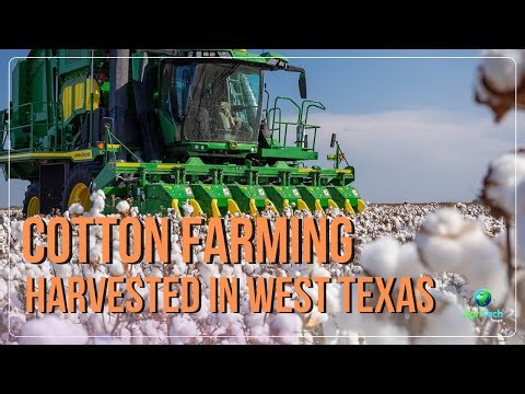 How Cotton Is Grown, Harvested & Processed in West Texas | Modern Farming Explained