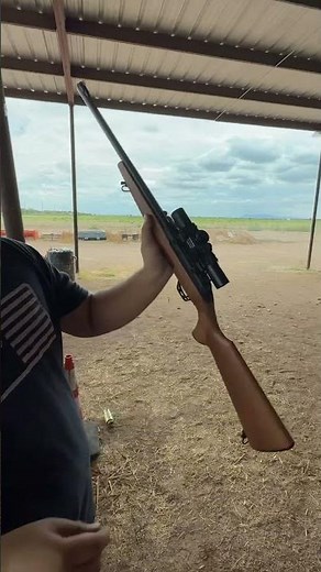 Para cacería Winchester wildcat 22