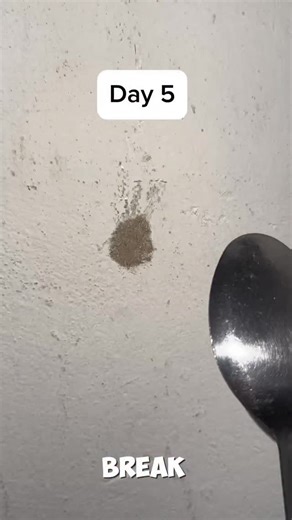 Spoon vs Wall on Instagram: "Day 5 of the spoon vs wall challenge 🥄🧱 15.500 followers = 15.500 hits 💥 Comment: “DAY 6” if you want me to continue . #day1 #challenge #follows #day5 #part5"