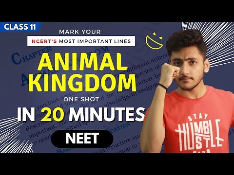 Animal Kingdom Class 11 | Biology | For NEET | Full Revision In 20 Minutes