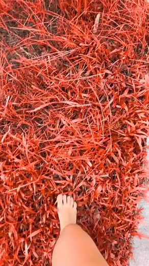 almathexplorer on TikTok