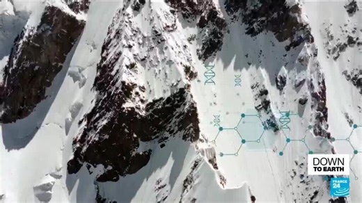 Frozen mysteries: The scientific race to document little-known glacial habitats