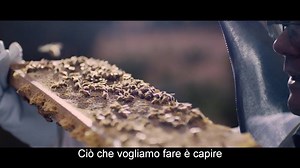 Dotando le api di un minuscolo "zaino" Intel Edison, questi ricercatori possono monitorare interi alveari a distanza ed in modo continuativo...servirà a svelare il mistero della diminuzione mondiale del numero di api? C'è in gioco il futuro alimentare della Terra. #ExperienceAmazing http://iq.intel.it/api-con-lo-zainetto-per-salvare-gli-alveari/ | Intel