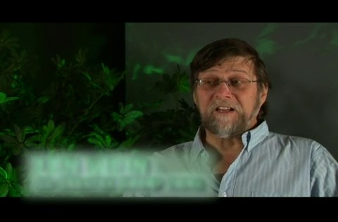 Swamp Thing (TV Series 1990–1993)