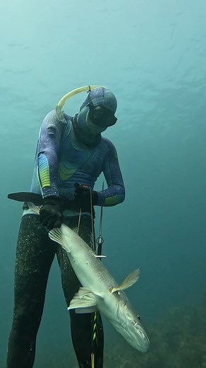 Easy Way to Catch Snapper | Ryan Myers