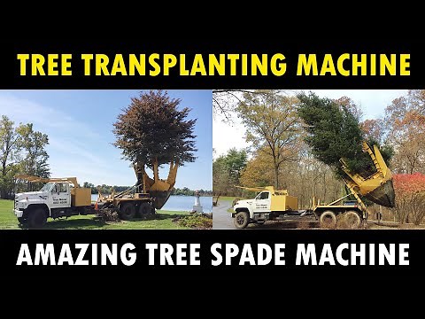 Tree Transplanting Machine | Tree Relocation Machine | Tree Spade