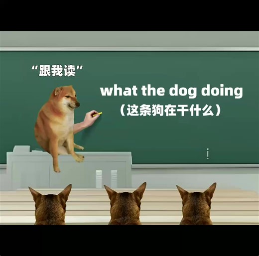 What Is the Dog Doing? A Fun Look at Dog Memes