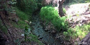 Περιβαλλοντική εκπαίδευση στο δημοτικό σχολείο - Προτάσεις και δραστηριότητες