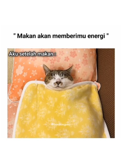 Kumpulan Meme Paling Relate yang Bikin Ngakak!