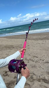 Sharks in the Ocean: Peelin Line Sea Fishing Surprise