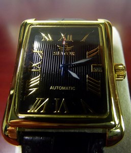 Review of the Sewor 065 Automatic Watch