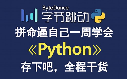 【整整600集】2025最易懂最易学的Python全套教程，逼自己一周学会，从零基础入门到精通Python只要这套就够了！全程干货！包含爬虫 数据分析教程！
