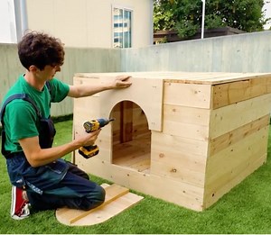 Cozy DIY pallet home for your puppy! | 5-Minute Crafts UK