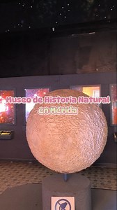 ✨MUSEO GRATUITO EN MÉRIDA ✨ Museo de Historia Natural, Mérida Yucatán, de los Museos más antigüos de la ciudad y más queridos, gratuito para todo público además de dinámico ✨ En este museo podrás saber acerca del origen de la tierra y del hombre , dinosaurios,restos fósiles , ecosistemas, arrecifes y hasta aves de Yucatán. 🦖Para las escuelas se dan visitas guiadas a estudiantes desde preescolar hasta universidad y 🦖El dinosaurio es robótico aún se mueve y lo hacen cuando hay visitas escolares 