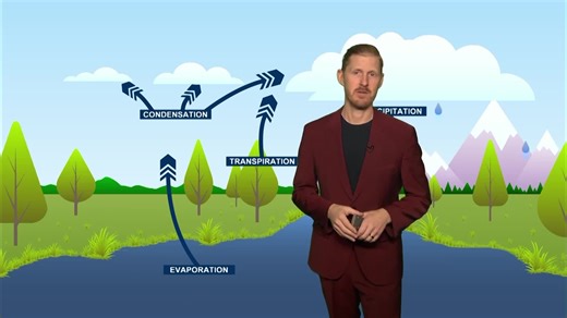 Tropical Systems, Water Cycle