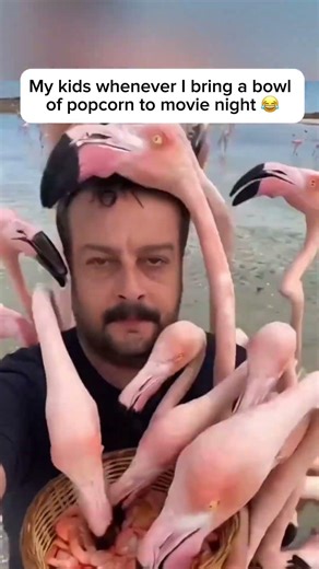 My Kids vs. Popcorn 🍿Parenting Humor That’s Too Real 😂