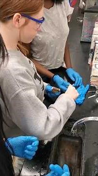 Properties of Matter Lab! How do you teach properties of matter?