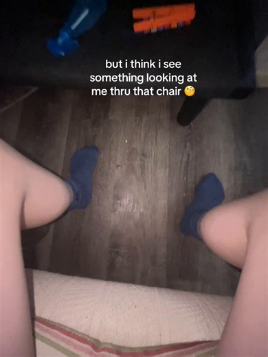 Mittens the Cat's Unexpected Hideaway